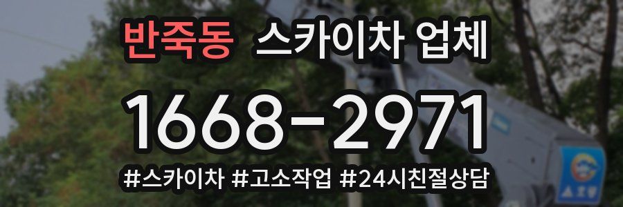 반죽동 스카이차 업체