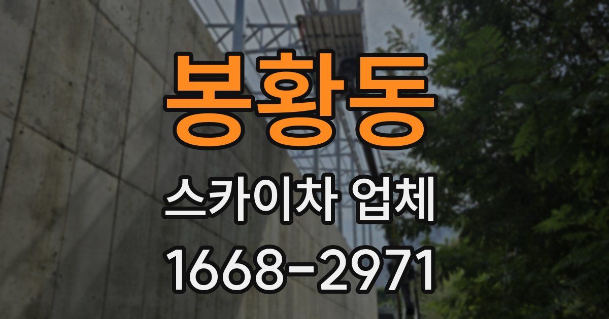 봉황동 스카이차 업체