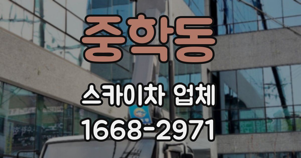 중학동 스카이차 업체