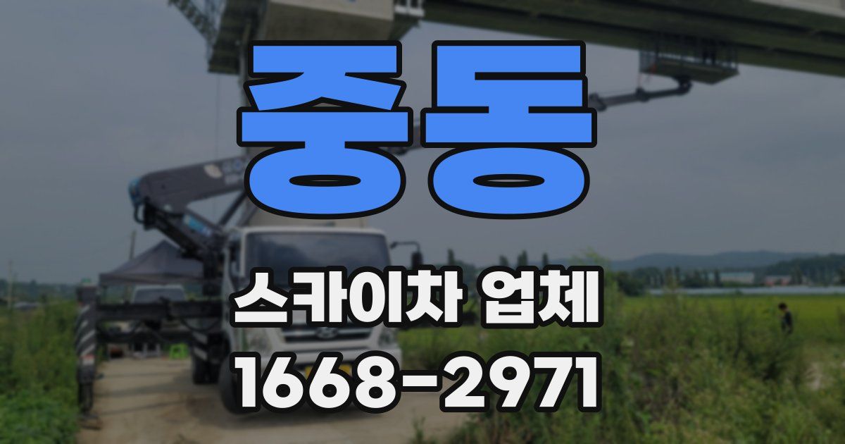 중동 스카이차 업체