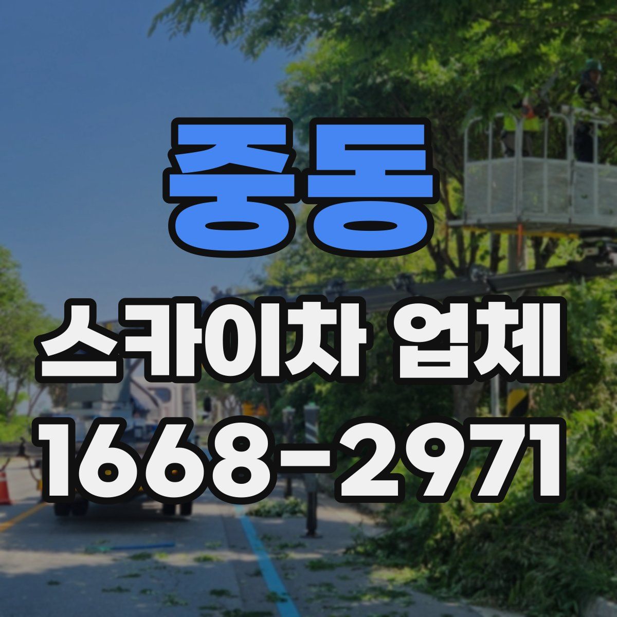 중동 스카이차 업체