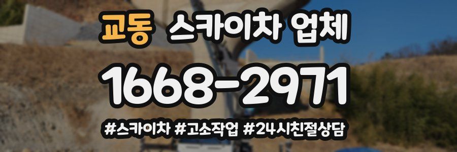교동 스카이차 업체