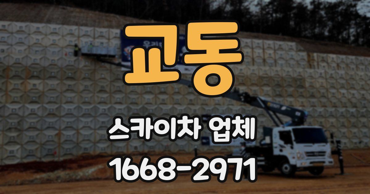 교동 스카이차 업체