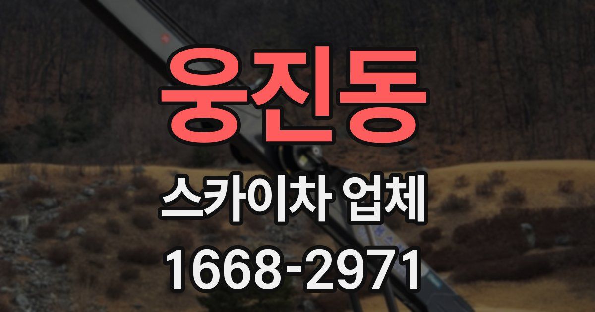 웅진동 스카이차 업체