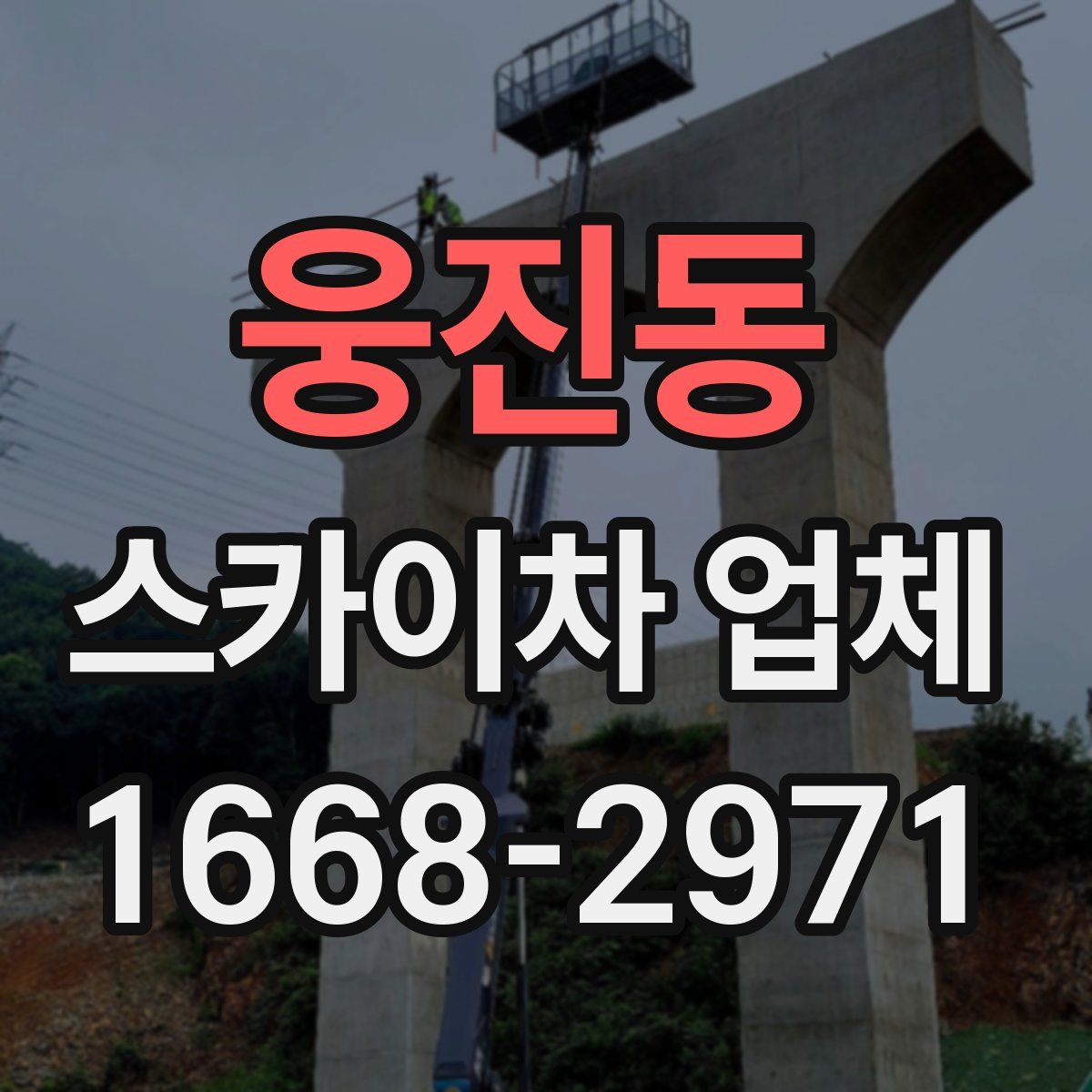 웅진동 스카이차 업체