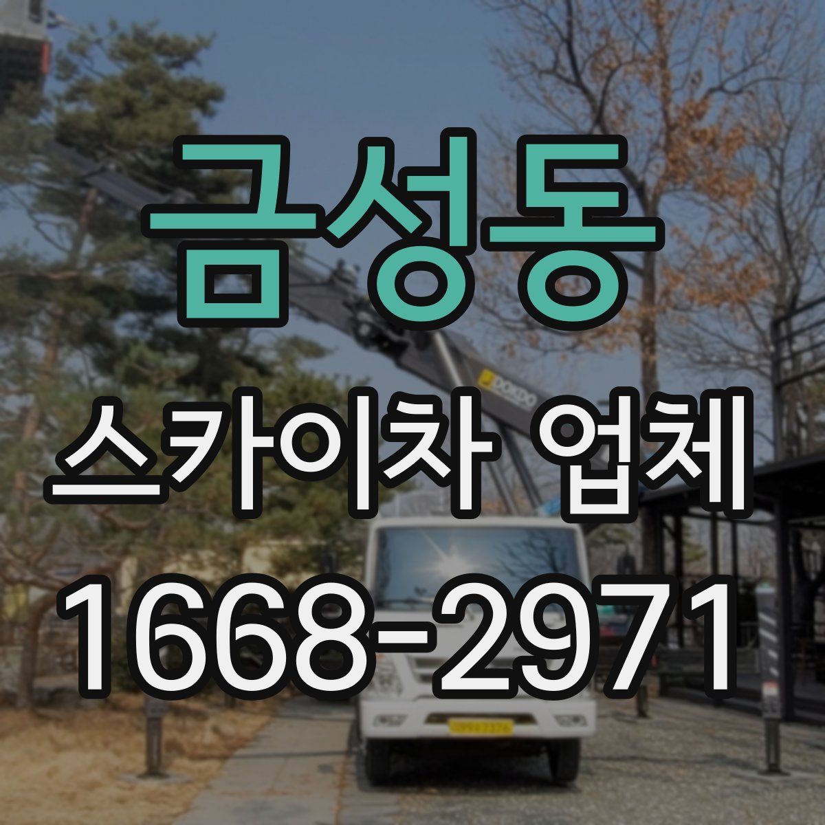 금성동 스카이차 업체