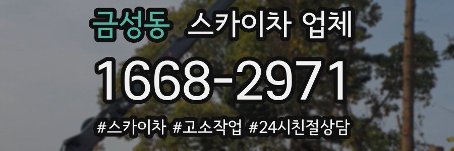 금성동 스카이차 업체