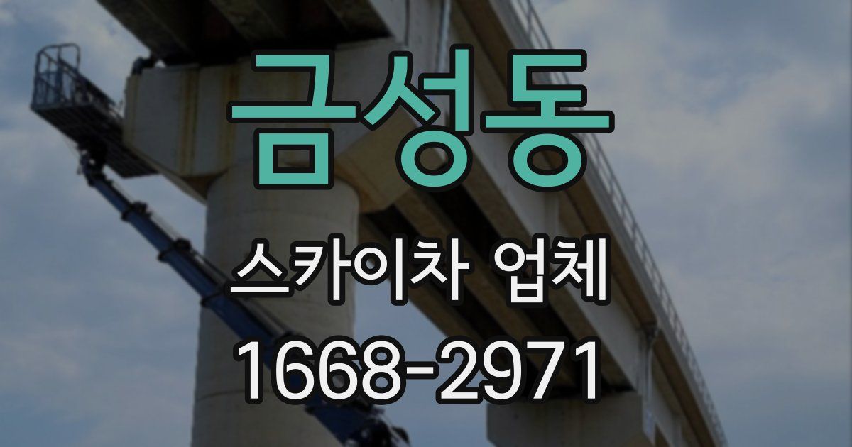 금성동 스카이차 업체
