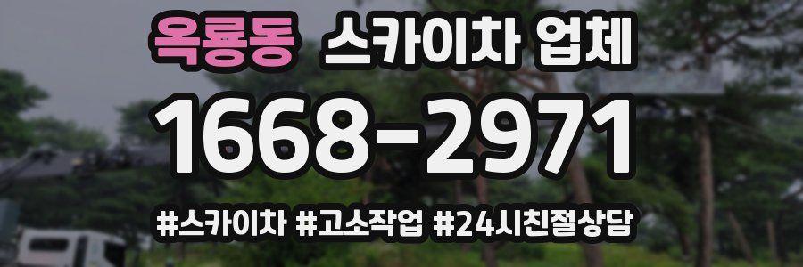 옥룡동 스카이차 업체