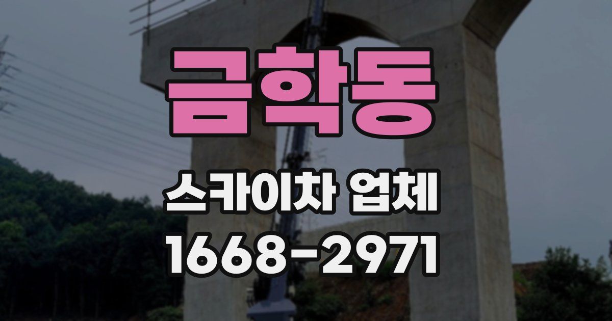 금학동 스카이차 업체