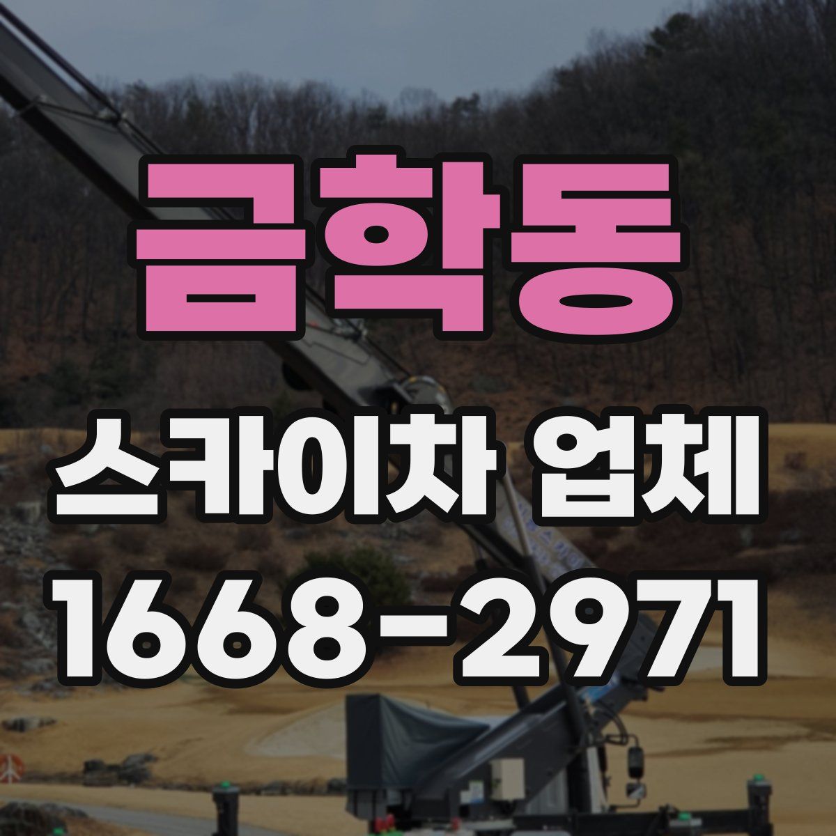 금학동 스카이차 업체