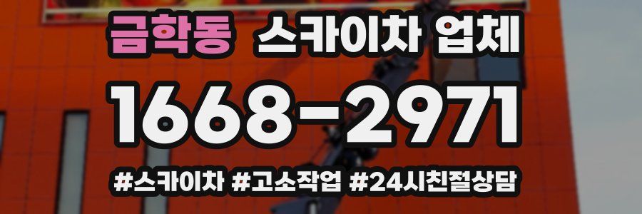 금학동 스카이차 업체