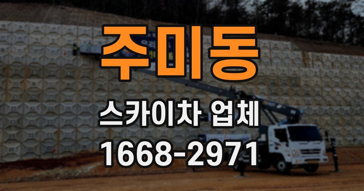 주미동 스카이차 업체