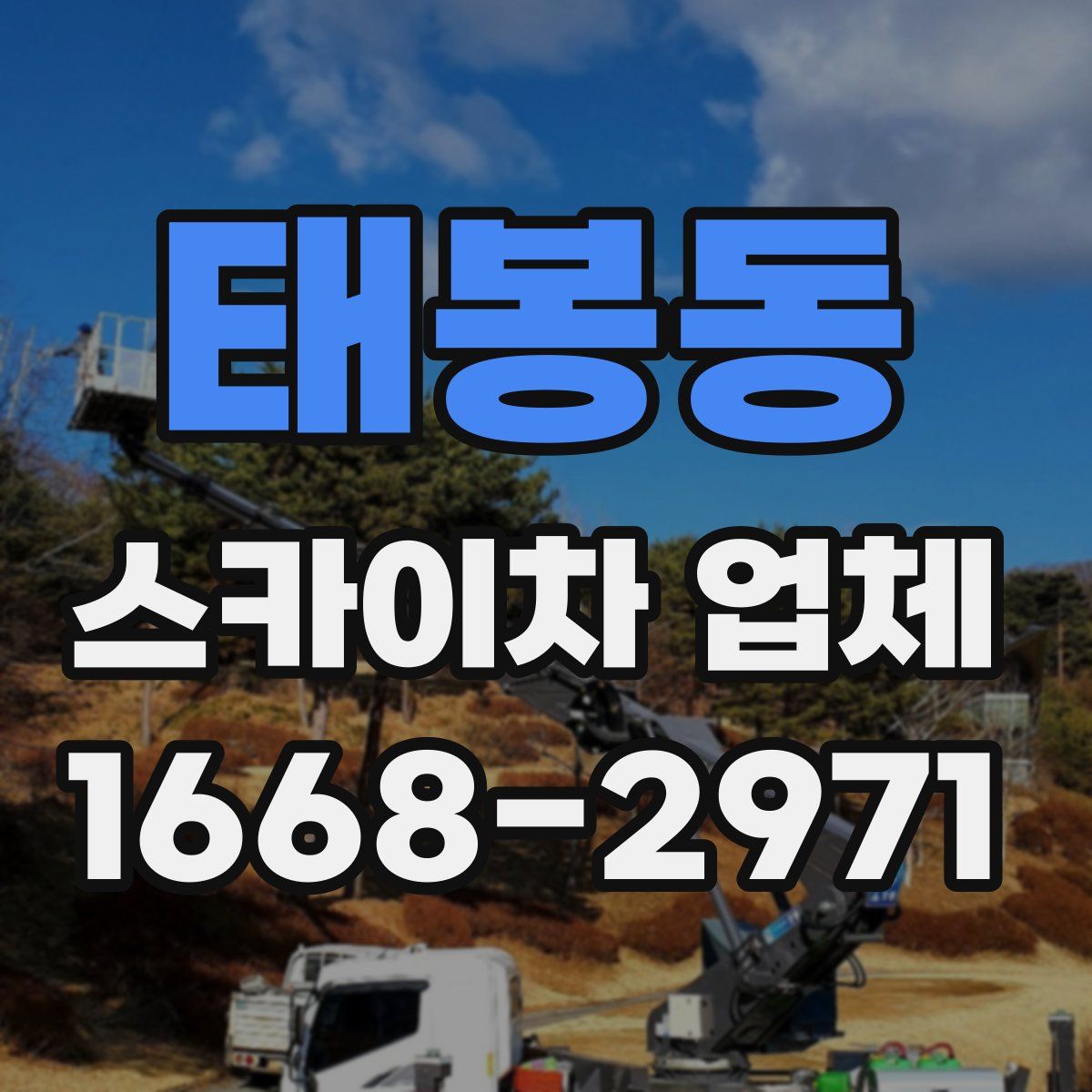 태봉동 스카이차 업체