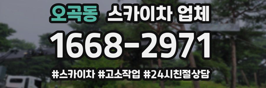 오곡동 스카이차 업체