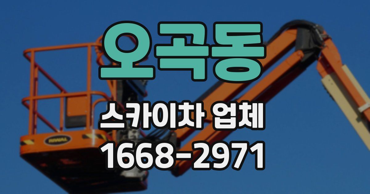 오곡동 스카이차 업체