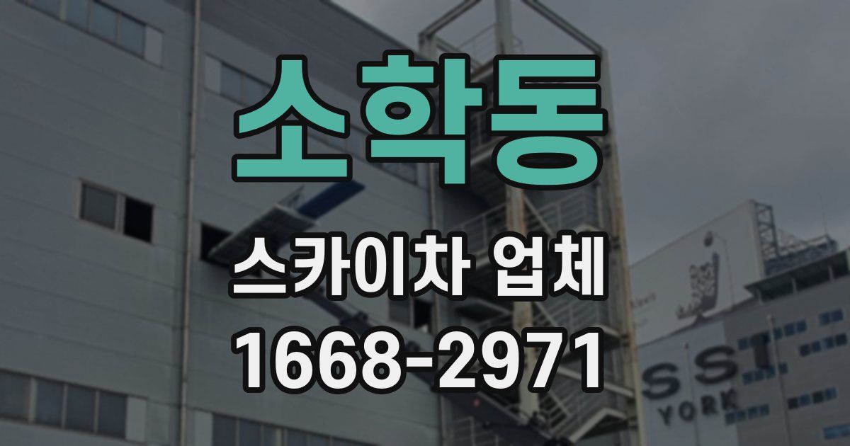 소학동 스카이차 업체