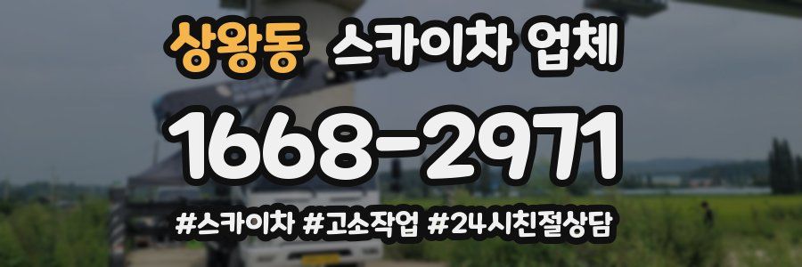 상왕동 스카이차 업체
