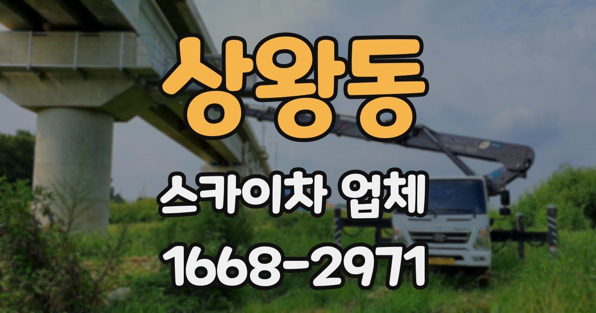 상왕동 스카이차 업체