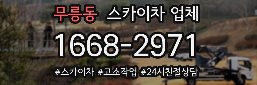 무릉동 스카이차 업체