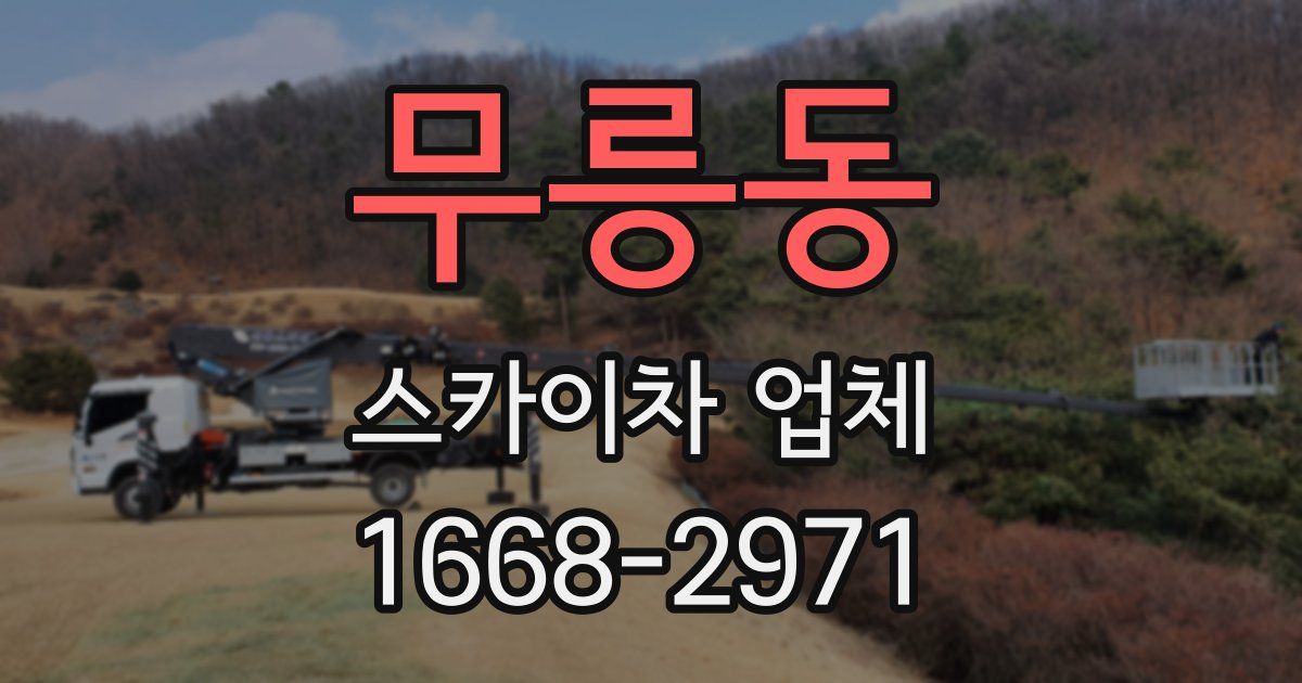 무릉동 스카이차 업체