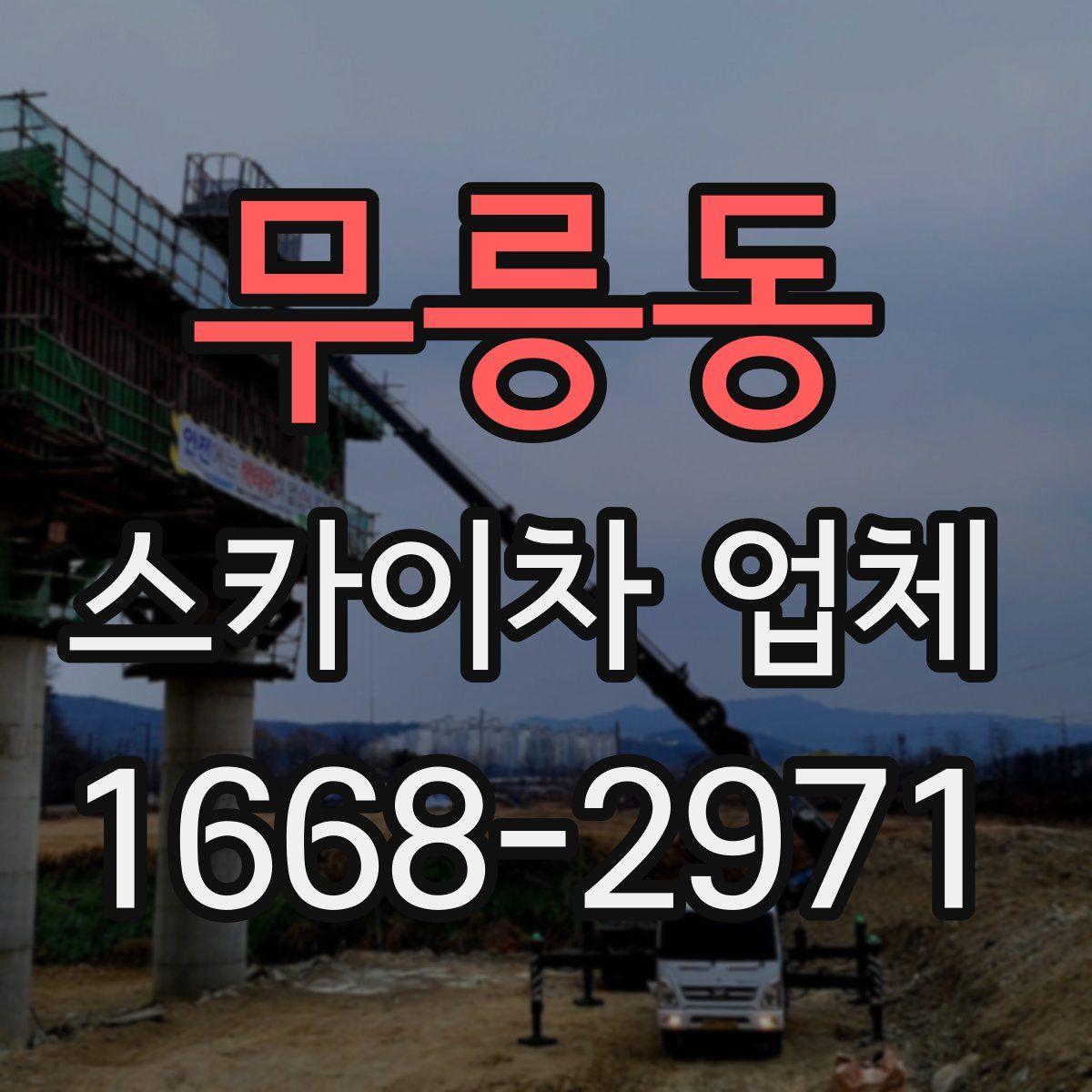무릉동 스카이차 업체
