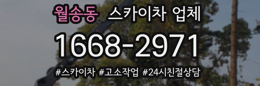 월송동 스카이차 업체