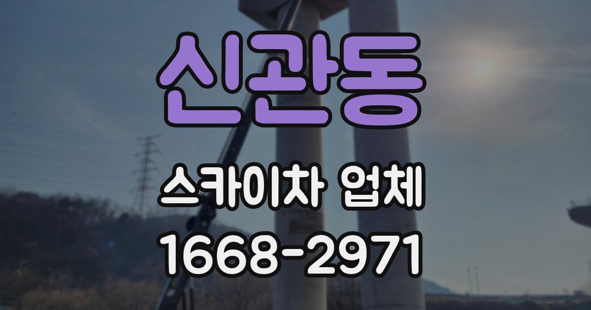 신관동 스카이차 업체