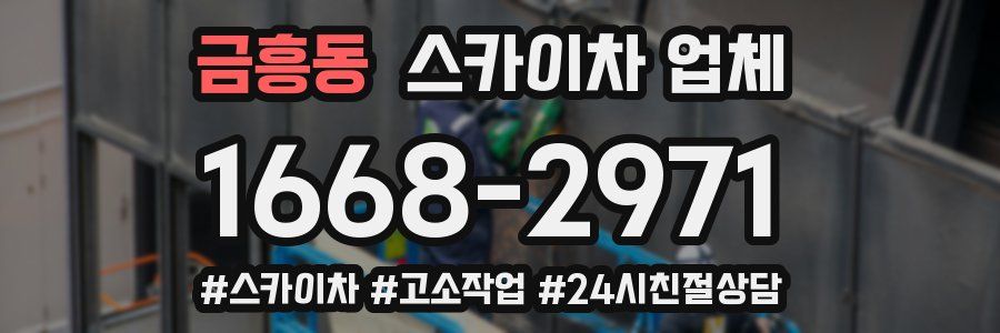 금흥동 스카이차 업체