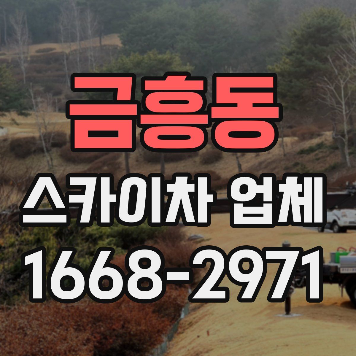 금흥동 스카이차 업체