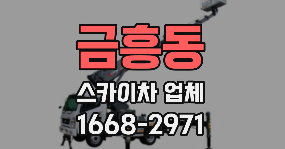 금흥동 스카이차 업체