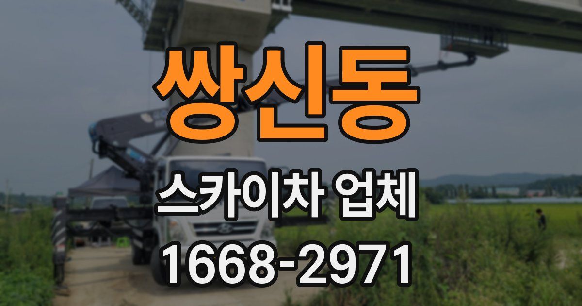 쌍신동 스카이차 업체