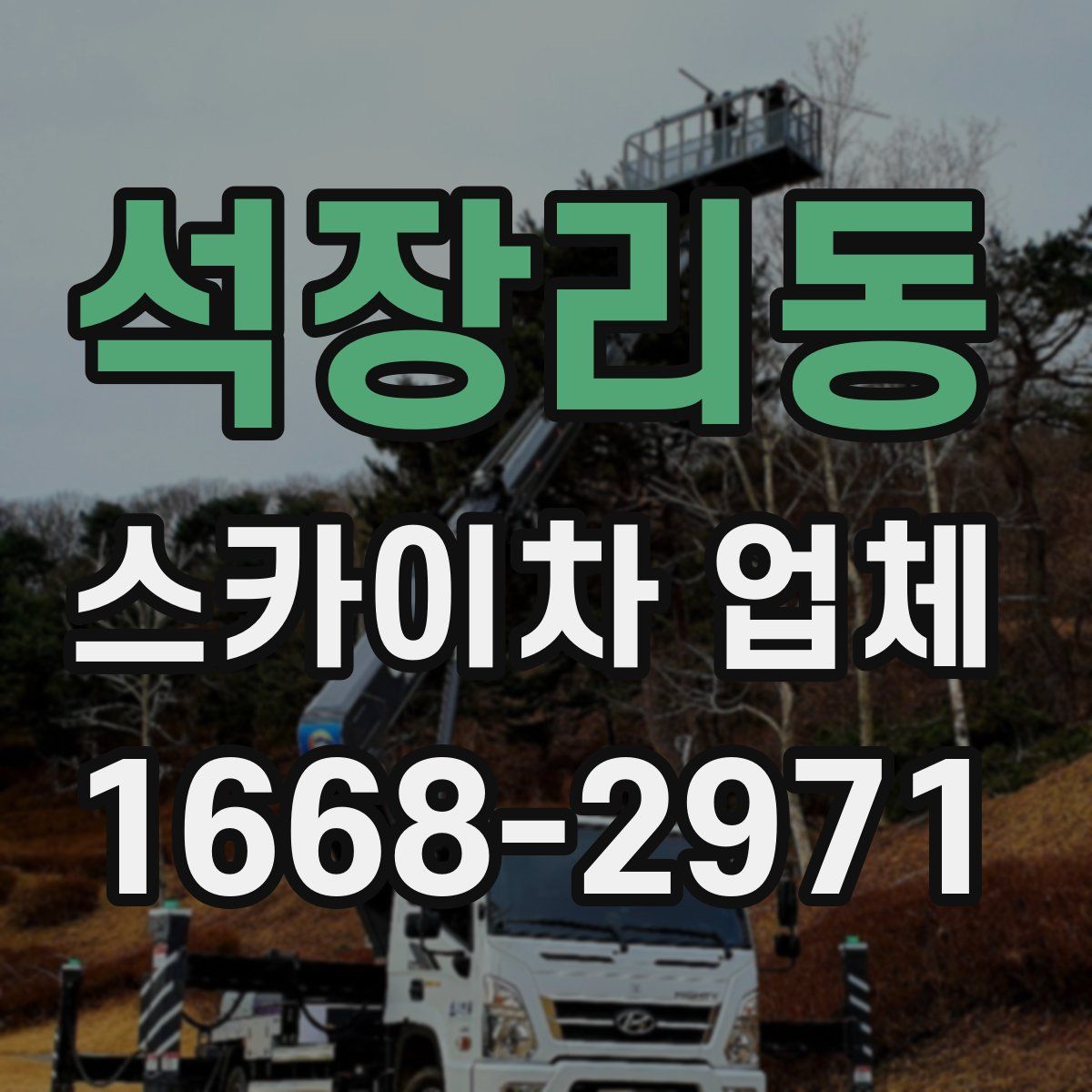석장리동 스카이차 업체