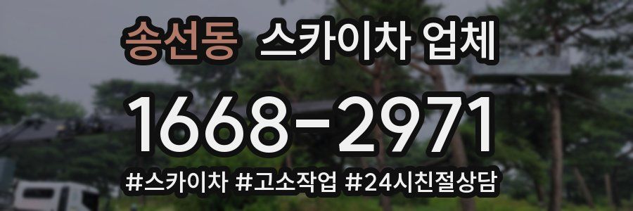송선동 스카이차 업체