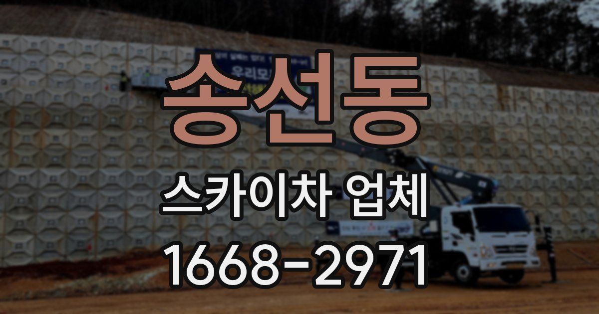 송선동 스카이차 업체