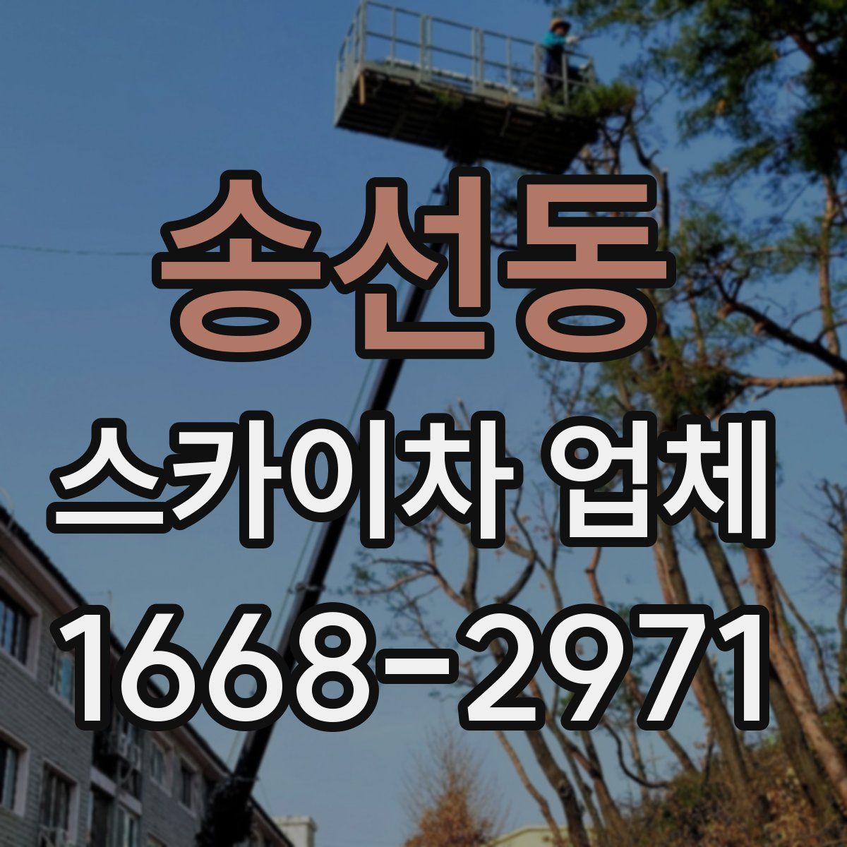 송선동 스카이차 업체