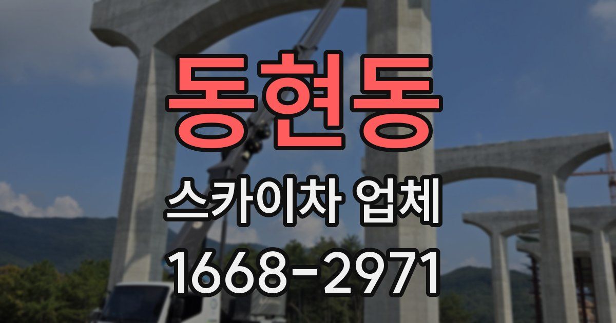 동현동 스카이차 업체