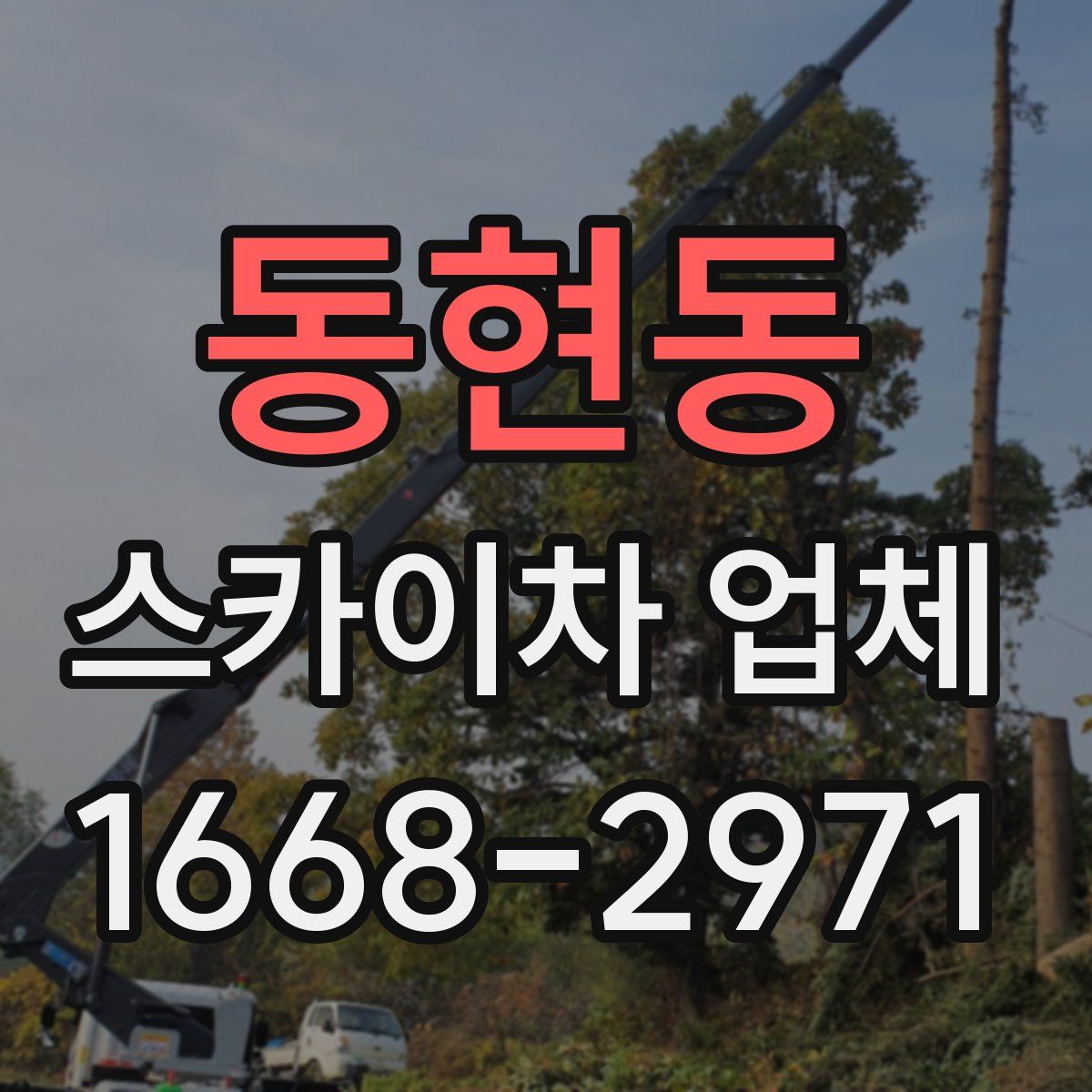 동현동 스카이차 업체