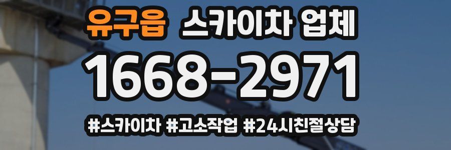 유구읍 스카이차 업체