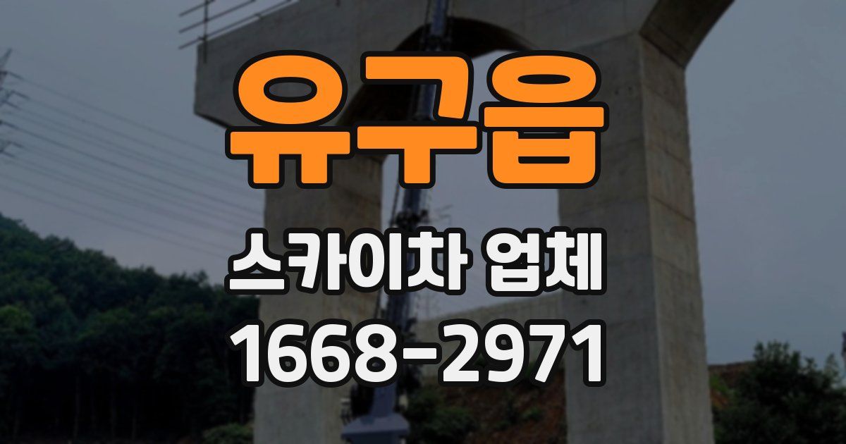 유구읍 스카이차 업체