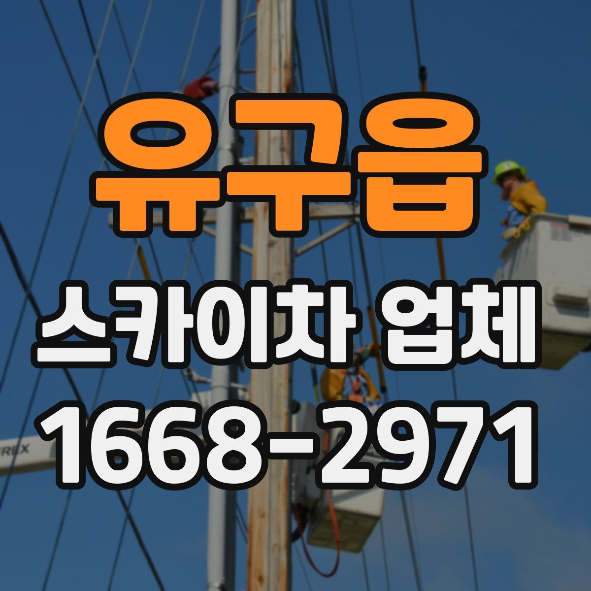 유구읍 스카이차 업체