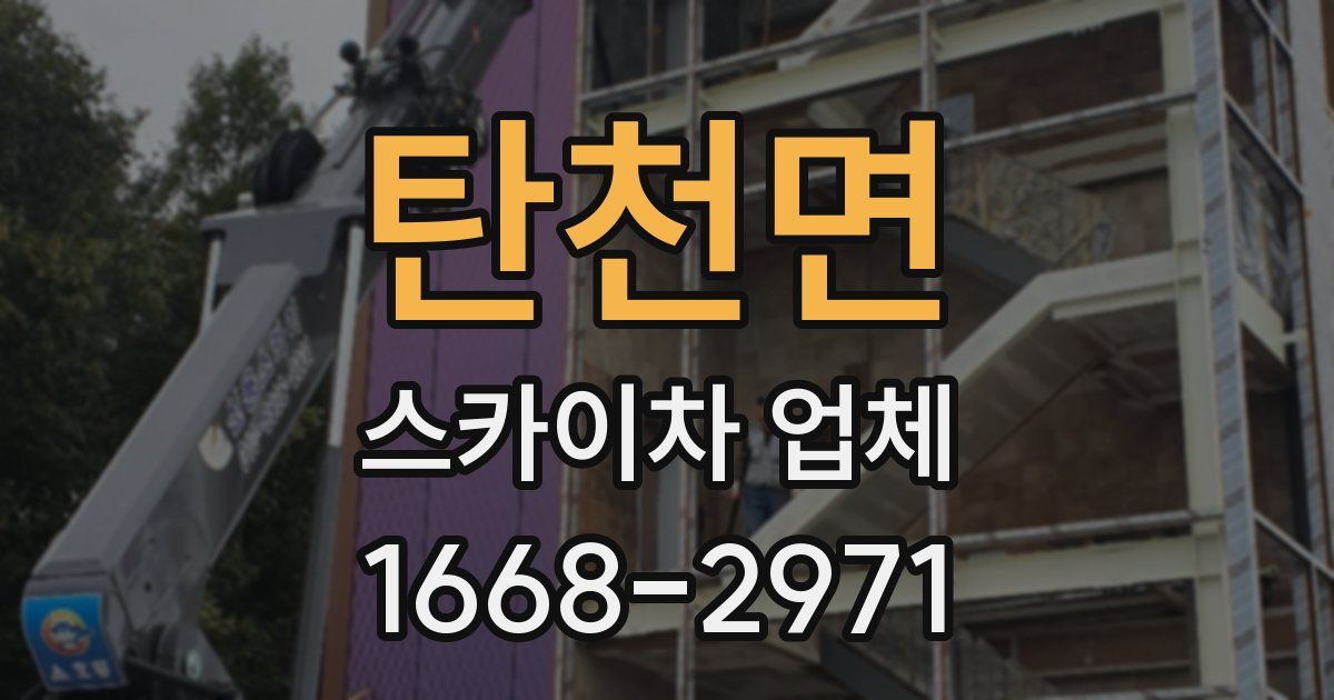 탄천면 스카이차 업체