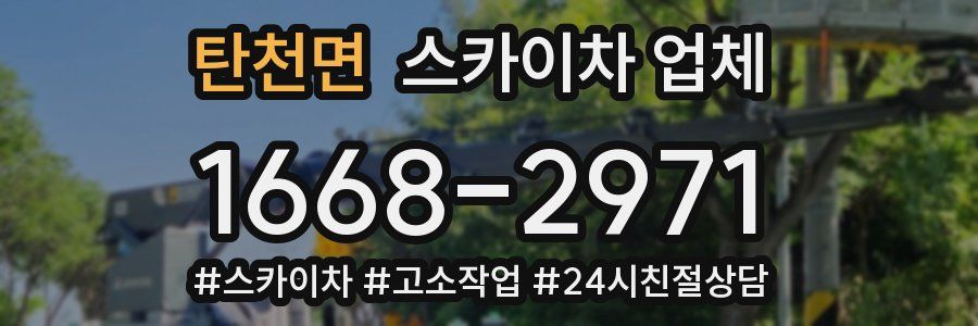 탄천면 스카이차 업체