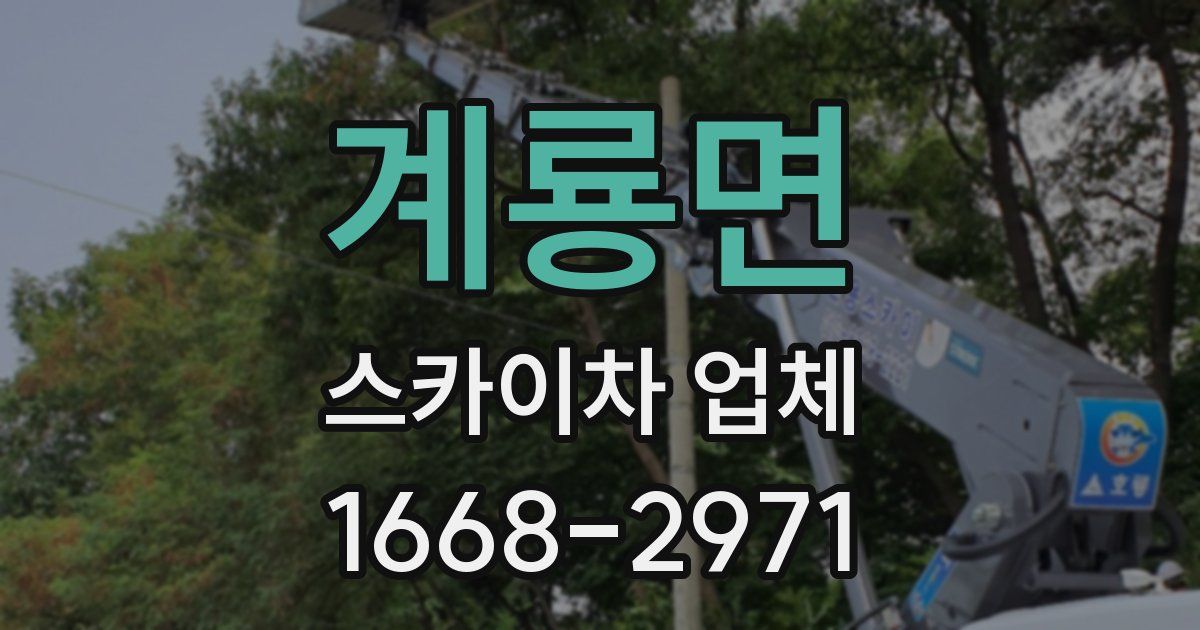 계룡면 스카이차 업체