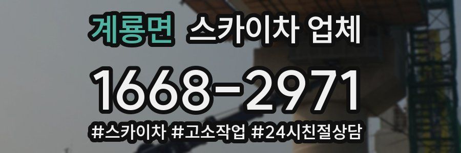 계룡면 스카이차 업체