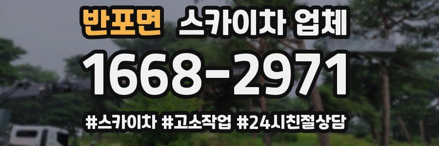 반포면 스카이차 업체