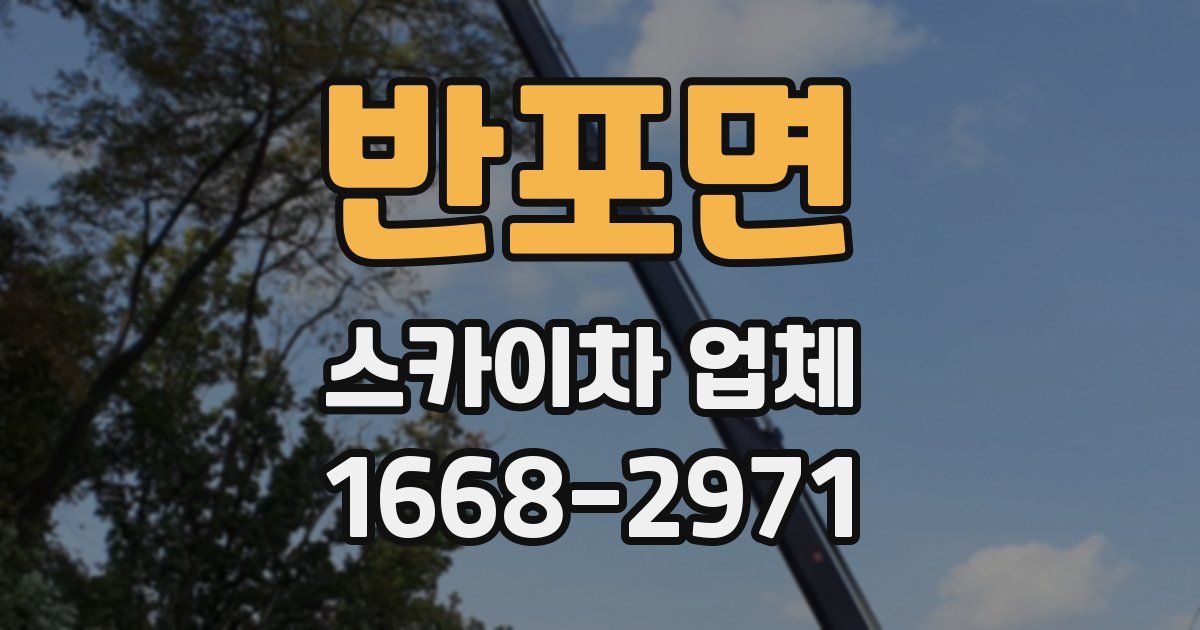 반포면 스카이차 업체