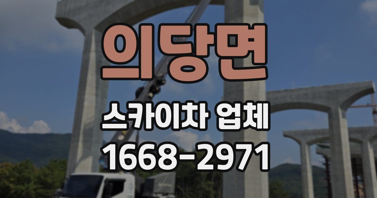 의당면 스카이차 업체
