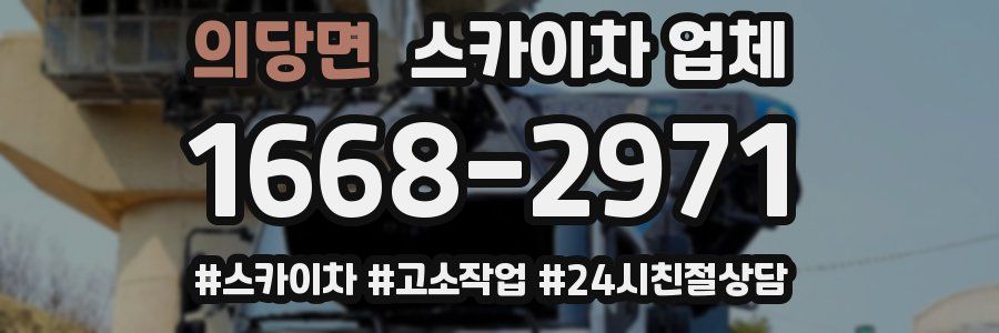 의당면 스카이차 업체