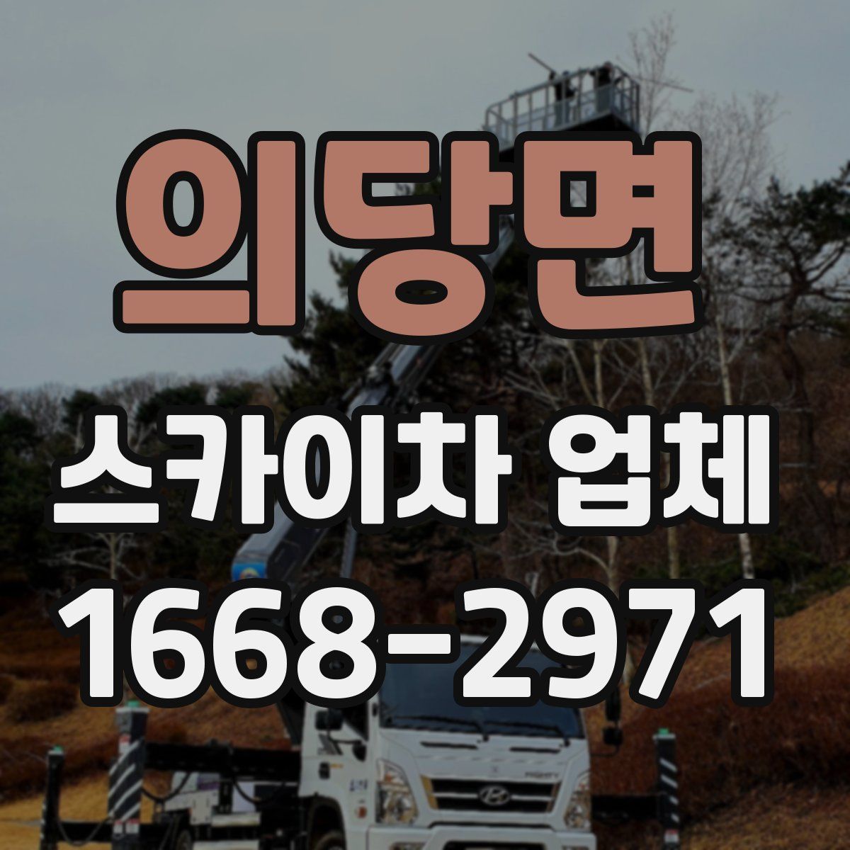 의당면 스카이차 업체